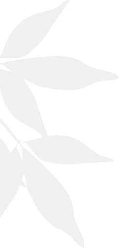 A green background with black leaves on it.